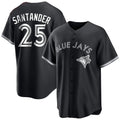 CBdoa T.Blue Jays #25 Anthony Santander Player Black City Connect Limited Stitched Jerseys