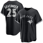 CBdoa T.Blue Jays #25 Anthony Santander Player Black City Connect Limited Stitched Jerseys
